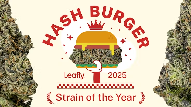 Go to Hash Burger clone store page