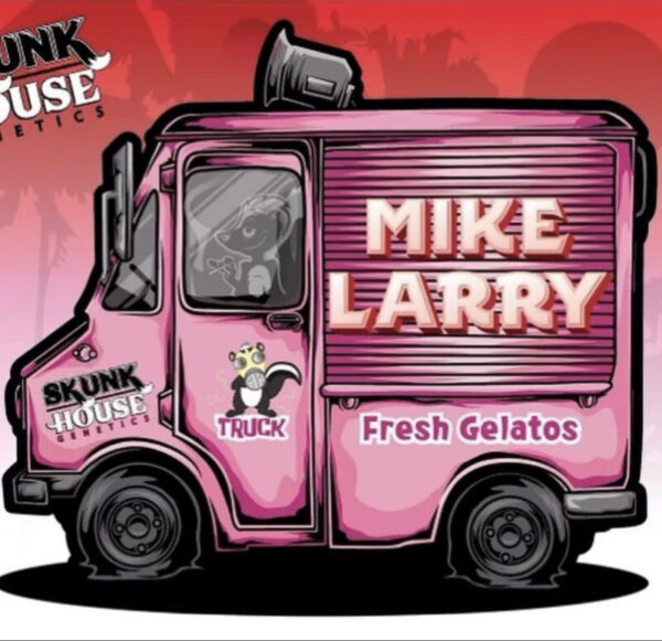Skunk House - Mike Larry